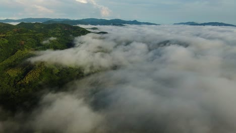 Bosque-Tropical-Y-Niebla-En-Costa-Rica