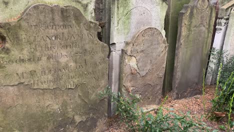 Close-up-of-old-gravestones-in-a-London-graveyard