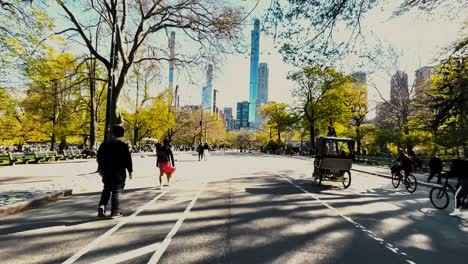 Punto-De-Vista-Tomado-De-Una-Bicicleta-En-Movimiento-En-El-Parque-Central-Bajo-El-Sol-De-Primavera