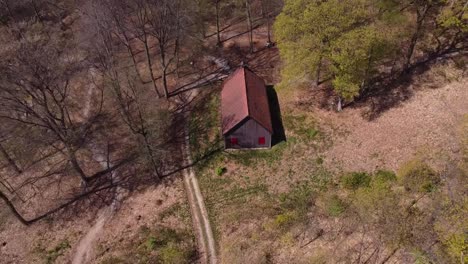Drone-shot-from-shed-in-the-forest,-woods-with-nice-sunny-weather