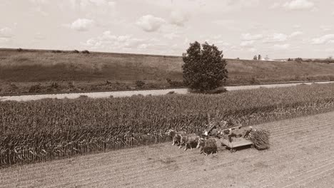 Una-Vista-Lateral-Aérea-De-Los-Amish-Cosechando-Maíz-Usando-Seis-Caballos-Y-Tres-Hombres-Como-Se-Hizo-Hace-Años-Cuando-Se-Acerca-Un-Antiguo-Tren-De-Pasajeros-En-Un-Día-Soleado-En-Blanco-Y-Negro