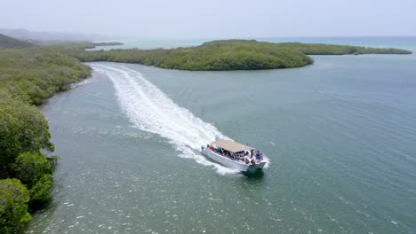 Aerial-tracking-shot-showing-many-tourist-on-speedboat-during-tour-between-mangroves-tree-park-in-Monte-Cristi,Dominican-Republic