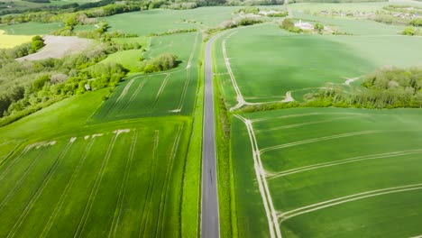 Aerial-view,-empty-country-road-next-to-a-green-farmer's-field,-sunny-spring-noon,-clouds-cast-on-the-meadow