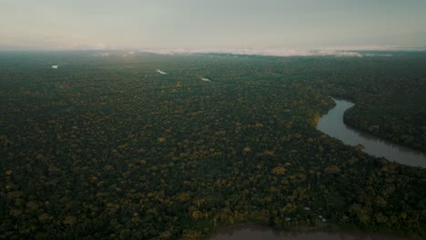 Aerial-view-of-amazon-river-between-deep-rainforest-and-jungle-in-Peru