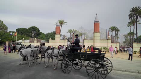 Carriage-with-coachman-and-four-white-horses-outside-Fair-gates,-Jerez,-Spain
