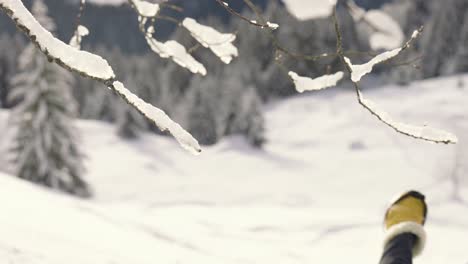 Hombre-Esquiando-Cuesta-Abajo-Pasando-Por-Una-Rama-Cubierta-De-Nieve-En-La-Montaña