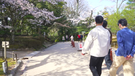 Lugareños-Deambulando-Por-El-Jardín-Kenrokuen-Durante-La-Temporada-De-Sakura-En-Primavera-En-Kanazawa,-Japón