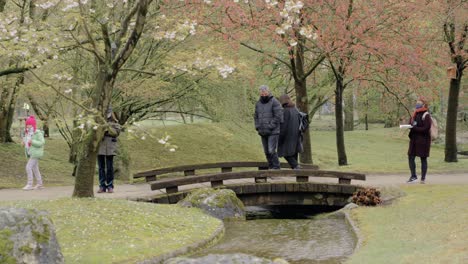 Turistas-Que-Usan-Máscaras-Protectoras-En-El-Jardín-Japonés-En-Hasselt,-Bélgica