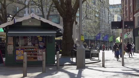 Jardinero-De-Trabajo-Rappel-Por-El-Castillo-De-Cardiff-Para-Eliminar-Las-Malas-Hierbas-De-La-Pared