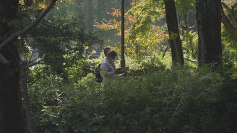 Dos-Silvicultores-Masculinos-Inspeccionando-árboles-En-El-Bosque-En-Japón