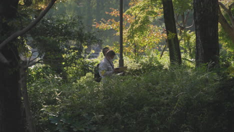 Zwei-Männliche-Förster-Inspizieren-Bäume-Im-Wald-In-Japan