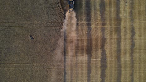 Aerial-vertical-drone-view-following-a-modern-combine-harvester-reaping-wheat-seeds-in-Alberta,-Canada