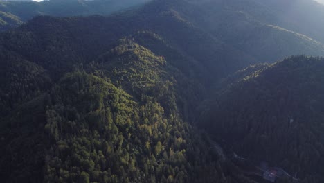 Filmische-Luftaufnahme-Eines-üppigen-Waldes-Mit-Morgennebel-Und-Sonnenstrahlen,-Europa