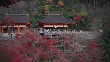 Kiyomizu-dera-in-Autumn,-red-maple-trees-in-the-background