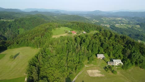Grüne-Sommerwälder-Und-Wiesen-Auf-Kleinen-Hügeln-Mit-Bauernhäusern