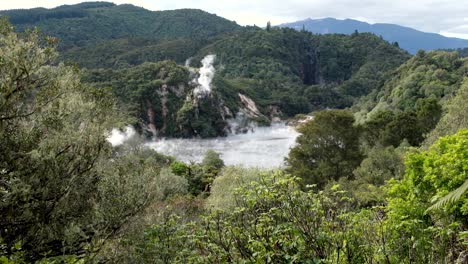 Waimangu-Volcanic-Rift-Valley-and-Frying-Pan-Crater-Lake-hot-spring-with-surrounding-forests-in-Rotorua,-New-Zealand-Aotearoa