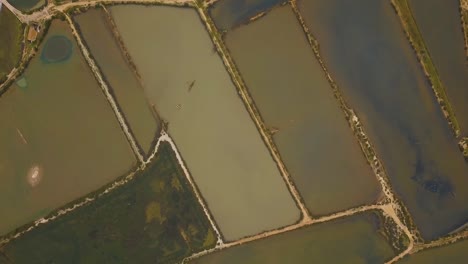 Luftaufnahme-Aus-Der-Vogelperspektive-über-Das-Naturschutzgebiet-Und-Die-Salzpfannen-Von-Fuseta-Portugal