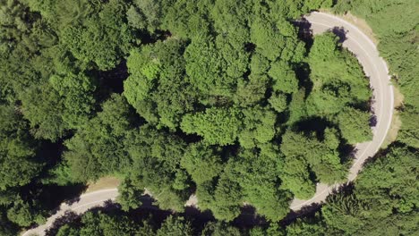 Top-down-shot-at-a-driving-black-car-through-a-curve-framed-by-green-tress-at-summertime