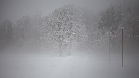 Static-timelapse-of-a-frozen-row-of-high-power-pylons-leading-through-trees-during-a-snowstorm-in-winter