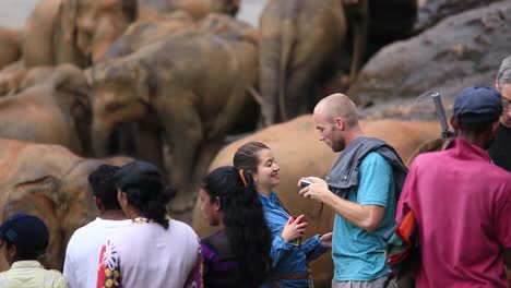 Touristen-Im-Elefantenwaisenhaus-Pinnawala-Mit-Besonderem-Fokus-Auf-Ein-Weißes-Paar,-Das-Mit-Einer-Elefantenherde-Im-Hintergrund-In-Der-Provinz-Sabaragamuwa-In-Sri-Lanka-Genießt-Und-Verliebte-Fotos-Macht