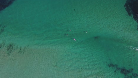 Topdown-of-surfers-in-crystal-clear-waters-of-smiths-beach-Western-Australia