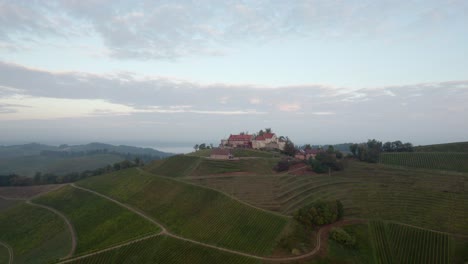 Reveal-scenic-vineyards-with-castle-on-top-of-hill