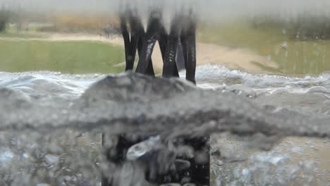 Detail-of-water-bubbles-of-Pramen-doktora-Stastnego-spring-in-Luhacovice-spa-in-slow-motion