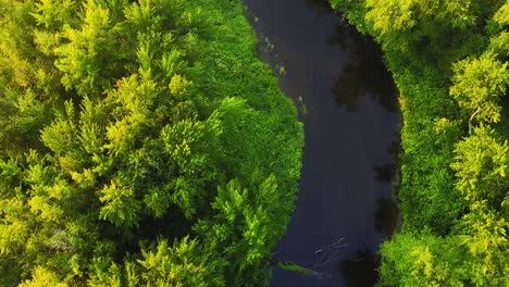 Birds-eye-view-of-a-slow-river-with-sunlight-shining-on-trees