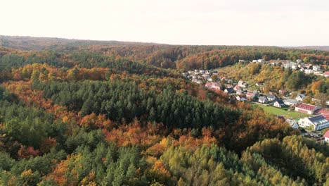 Aerial-scenic-panoramic-landscape-of-pine-tree-natural-unpolluted-forest-with-small-little-stone-village-in-mountain-of-Reda-is-northern-Poland