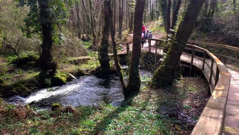 Walking-Across-Wooden-Bridge-Over-River-On-Day-Out-In-Local-Woodland-Park-In-Ordes