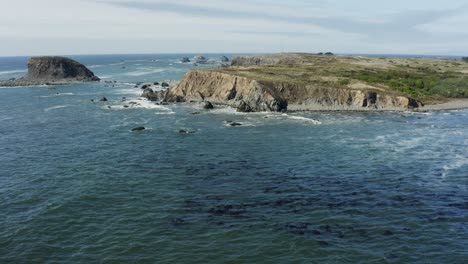 Stationary-drone-aerial-of-a-sea-kelp-forest-near-tall-ocean-cliffs-on-a-sunny-day,-Pacific-ocean,-Oregon-coast