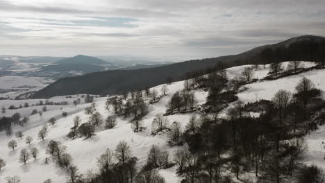 Überflug-über-Einem-Malerischen,-Schneebedeckten-Winterhang-Mit-Spärlichen-Laubbäumen