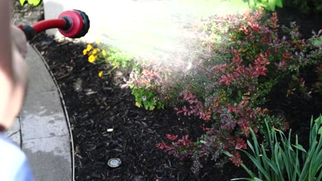 Watering-ornamental-plants-in-landscaping-at-home-with-water-hose-wand