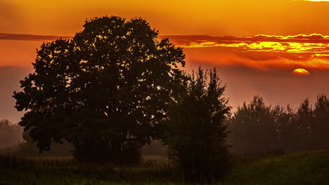 Time-lapse-of-golden-sunset-lighting-on-agricultural-fields-in-nature-during-cloudy-and-foggy-day---Spectacular-landscape-with-tree-silhouette-in-autumn
