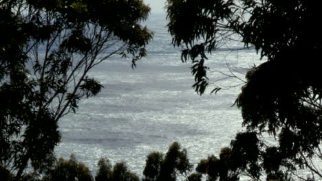 Image-of-the-sea-seen-through-a-hole-in-the-treetops