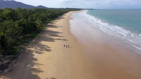 People-and-dog-walk-on-Mission-Beach-with-palm-trees-aerial,-Queensland,-Australia