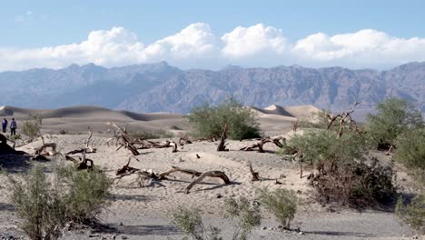 Dry-bent-trees-in-the-desert-with-people-walking-around,-Aerial-dolly-left-shot