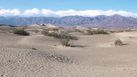 Low-sand-dunes-with-vegetation-in-the-Mojave-Desert-California,-Aerial-dolly-in-shot