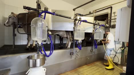 Automatic-cow-milking-machine-dairy-equipment-with-cylinder-tank-and-man-cleaning