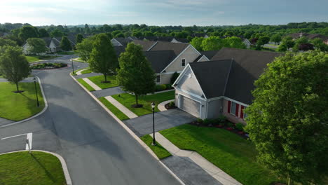 New-single-story-homes-in-USA-with-mature-trees-along-street