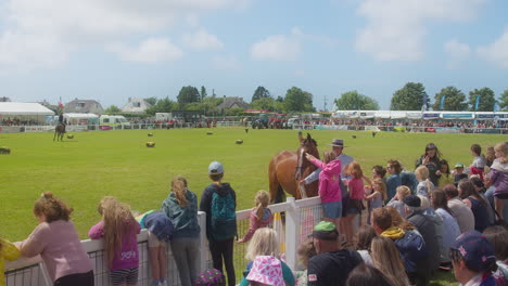 Royal-Cornwall-Show-2022-with-a-Horse-Coming-up-to-the-Crowd-of-Disappointed-Kids-Before-Rushing-Off