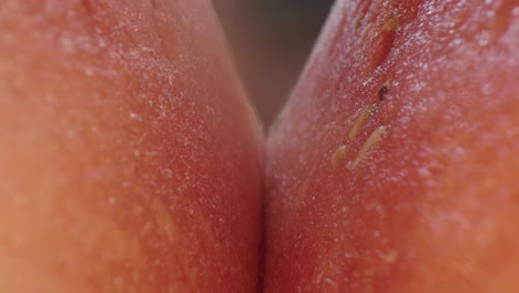 Epic-macro-food-shot,-moving-backwards-through-the-flesh-of-a-red-ripe-watermelon
