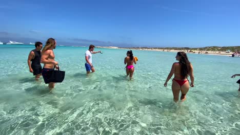 Epic-dream-vacation-moment-in-Formentera-Ibiza-Spain,-group-of-friends-walking-through-transparent-turquoise-water,-luxury-beach-resort,-4K-shot