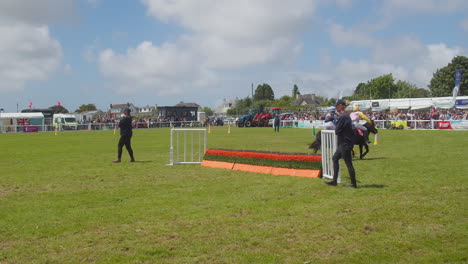Shetland-Pony-Konkurrenten-Beenden-Das-Rennen-Beim-Springen-Bei-Der-Letzten-Hürde-Für-Das-Royal-Cornwall-Show-Event-–-Zeitlupe