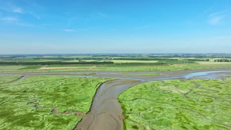 Beautiful-high-aerial-shot-of-vibrant-green-wetlands-with-muddy-rivers-flowing-alongside-agricultural-land-under-a-blue-summer-sky