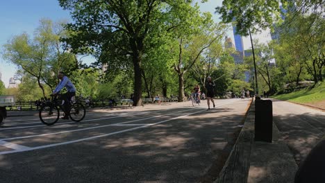 People-and-traffic-in-Central-park,-summer-in-sunny,-New-York,-USA---Time-lapse-shot