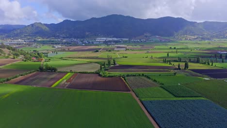 Fliegen-Sie-über-Wunderschöne-Grüne-Landwirtschaftliche-Nutzflächen-In-Der-Nähe-Des-Constanza-Tals-In-Der-Dominikanischen-Republik
