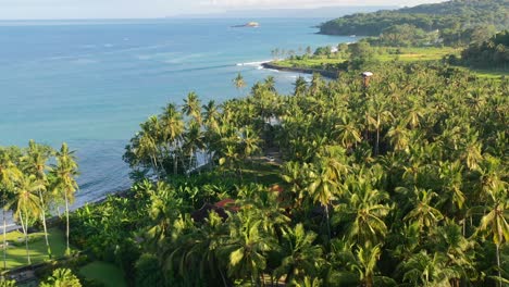 Costa-De-Isla-Tropical-En-Bali-Indonesia-En-Mañana-Soleada-Con-Campo-De-Cocoteros,-Antena
