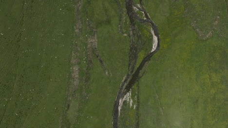 Flowing-Stream-At-Ktsia-Tabatskuri-Managed-Reserve-With-Greenery-Meadows-In-Georgia
