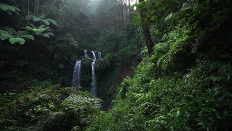 Hermosa-Vista-A-Través-De-La-Densa-Selva-Verde-En-Indonesia-En-La-Cascada-Grenjengan-Kembar